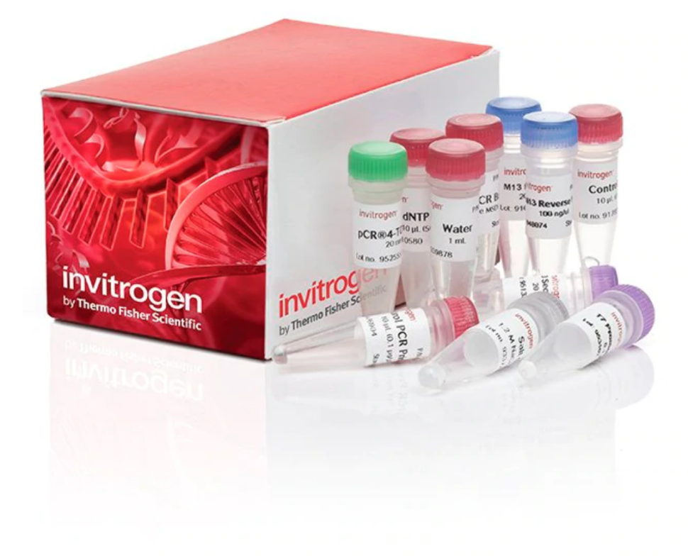 Набор для клонирования TOPO TA Cloning Kit for Sequencing, компетентные клетки не включены, Thermo FS (DM_450030)