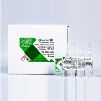 Смесь ароматических углеводородов в гексане ГСО 7871-2000 МСО 0291:2002 (3 см3)