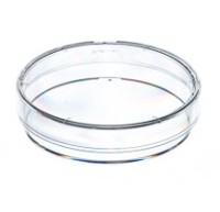 Чашка Петри Greiner Bio-One диаметр 60 мм, высота 15 мм, PS, вентилируемая, нестерильная, 20 штук в упаковке