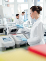 ДНК-амплификатор, алюминиевый реакционный блок 96х0,2 мл, с блоком управления, Mastercycler X50a, Eppendorf (аналог TC1000-G, арт. 5064102300, Китай)