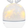 Астропланетарий Levenhuk Star Sky P2