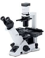 Микроскоп инвертированный CKX53, Olympus