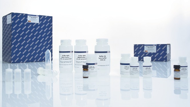 Набор для выделения ДНК из крови и биологических жидкостей QIAamp DNA Blood Maxi Kit, Qiagen