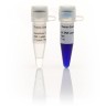 Маркер длин ДНК GeneRuler 1 kb, 10 фрагментов от 250 до 10000 п.н., 0,5 мкг/мл, Thermo FS
