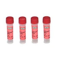 Буфер для ПЦР iProof GC, для амплификации GC-богатых последовательностей, 5-кратный, Bio-Rad