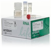 Набор для прямого анализа экспрессии генов ДНК Cells-to-CT 1-Step TaqMan Kit из культивируемых клеток без предварительного выделения РНК, Thermo FS