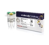 Эндонуклеаза рестрикции MnlI (BstNI), 10 е.а./мкл, Fermentas, Thermo FS