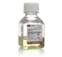 Фунгизон противогрибковый, жидкость, Thermo FS