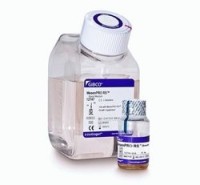 Среда MesenPRO RS с пониженным содержанием сыворотки, для культивирования мезенхимальных стволовых клеток, Thermo FS