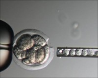 Система лазерной диссекции Octax Laser Shot, ИК-лазер, без микроскопа, MTG