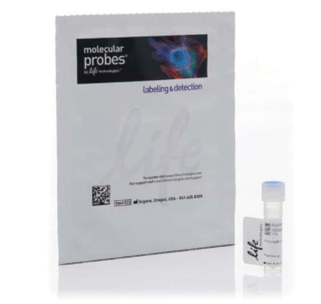 Краситель Alexa Fluor 488 Phalloidin, Thermo FS