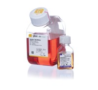 Среда StemFlex, бессывороточная, для культивирования мезенхимальных стволовых клеток, Thermo FS