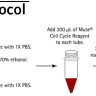 Набор для анализа клеточного цикла Muse Cell Cycle Kit, 100 тестов, Luminex
