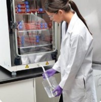 CO2-инкубатор, 255 л, прямой нагрев, ТК-датчик, высокотемпературная стерилизация, камера из нержавеющей стали, Heracell VIOS 250i, Thermo FS