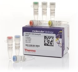 Набор для клонирования ПЦР-фрагментов CloneJet, Thermo FS