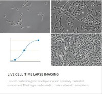 Система визуализации Celena S механический столик, до 5 объективов, 3 светофильтра, цифровая камера в комплекте, Logos Biosystems (аналоги арт. A40486, арт. AMF7000, Thermo FS)