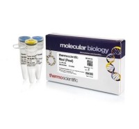 Эндонуклеаза рестрикции MssI (PmeI), 5 е.а./мкл, Fermentas, Thermo FS