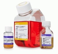 Среда StemPro hESC SFM, бессывороточная, для культивирования индуцированных плюрипотентных стволовых клеток, Thermo FS