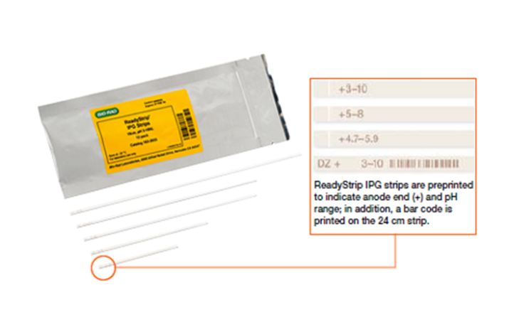 Стрип IPG готовый, 7 см, pH 3-6, 12 шт/уп, Bio-Rad