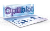 Гель полиакриламидный готовый, Optiblot SDS Gel 10% (8x10 см), 17 лунок, Abcam