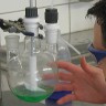 Перемешивающий элемент Bohlender полумесяц, длина 450 мм, 65 х 18 х 3 мм, PTFE