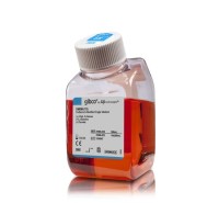 Среда DMEM, высокое содержание глюкозы, с L-глутамином, с пируватом, Thermo FS