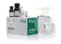 Набор mirVana miRNA Isolation Kit, with phenol, Thermo FS