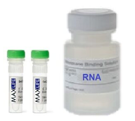 Набор для количественного определения РНК, RNA-500 V2.0 MAXLIFE, 500 реакций, Россия