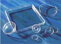 Чашки культуральные, квадрат 245х245 мм, стер., не обработанные, 4 шт./уп., 16 шт./кор., Corning