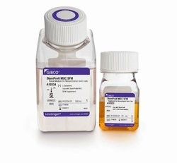 Среда StemPro-MSC бессывороточная для мезенхимальных стволовых клеток, Thermo FS