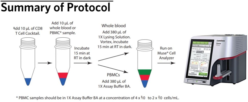 Набор для подсчета цитотоксических Т-клеток человека Muse Human CD8 T Cell Kit, 100 тестов, Luminex