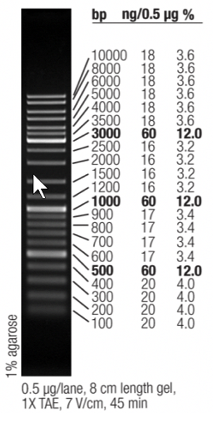 Маркер длин ДНК GeneRuler Mix, 15 фрагментов от 100 до 10000 п.н., 0,5 мкг/мкл, Thermo FS