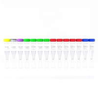 Набор для подготовки NGS библиотек VAHTS Universal DNA Library Prep Kit for Illumina V2, Vazyme, Китай