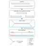 Набор для подготовки NGS библиотек VAHTS Universal DNA Library Prep Kit for Illumina V3, Vazyme, Китай