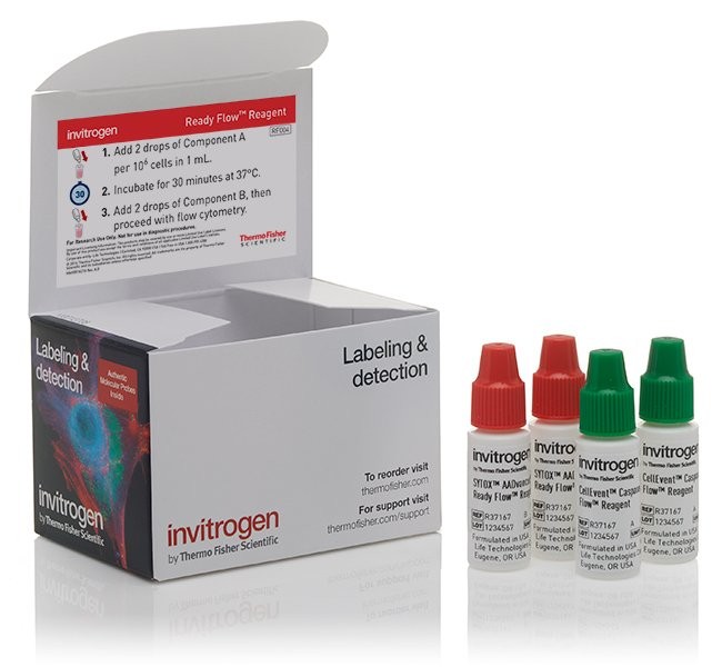Набор CellEvent Caspase 3/7 Green Ready Flow, для проточной цитометрии, 120 тестов, Thermo FS