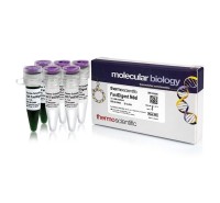 Эндонуклеаза рестрикции NdeI Fast Digest для ускоренного гидролиза ДНК, Fermentas, Thermo FS