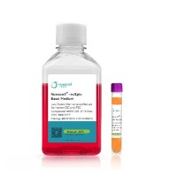 Среда для поддержания и пролиферации эмбриональных стволовых клеток и индуцированных плюрипотентных стволовых клеток (иПСК) человека ncEpic hPSC Medium, Nuwacell, Китай