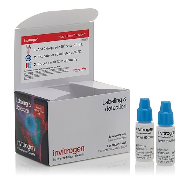 Набор Hoechst 33342 Ready Flow Reagent, для проточной цитометрии, 2х2,5 мл, 120 тестов, Thermo FS