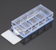 Культуральное стекло, 4 ячейки, не обработ. пов-ть, 12 шт./уп., 24 шт./кор, Corning (BioCoat)