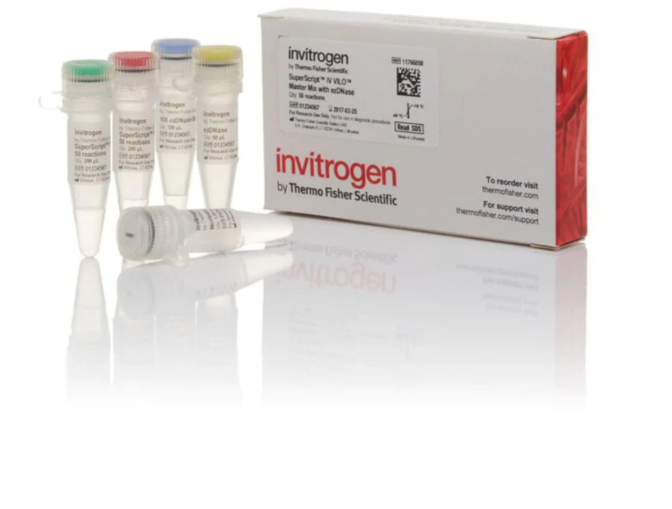 Смесь SuperScript IV VILO Master Mix with ezDNase Enzyme, Thermo FS