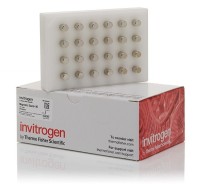 Магнитный сепаратор для 96-лун. планшетов, Thermo FS