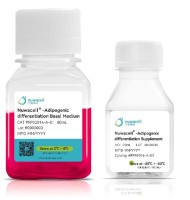 Набор для адипогенной дифференцировки МСК hMSC-Adipogenic Differentiation Kit, Nuwacell, Китай