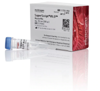 Смесь SuperScript VILO Master Mix, Thermo FS