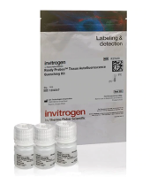 Набор для снижения автофлуоресценции ReadyProbes Tissue Autofluorescence Quenching Kit, Thermo FS