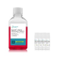 Набор для дифференцировки hPSC в нефроны hPSC-Nephron Differentiation Kit, Nuwacell, Китай