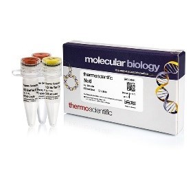 Эндонуклеаза рестрикции NotI, 10 е.а./мкл, Fermentas, Thermo FS