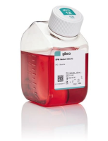 Среда RPMI 1640, с L-глютамин, с феноловым красным, без пирувата, без ХЕПЕС, Thermo FS