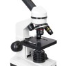 Микроскоп Levenhuk Rainbow D2L, 0,3 Мпикс, Moonstone\Лунный камень