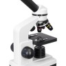 Микроскоп Levenhuk Rainbow D2L, 0,3 Мпикс, Moonstone\Лунный камень