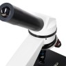 Микроскоп Levenhuk Rainbow D2L, 0,3 Мпикс, Moonstone\Лунный камень